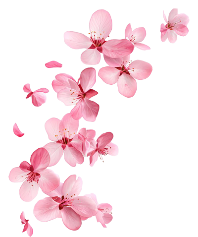 _ (7)